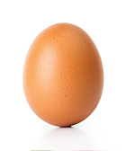 Egg